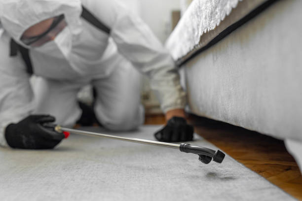 Professional Bed Bug Control technician working in Kenai, AK
